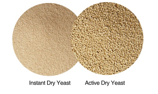 Active-dry-yeast-vs.-Instant-Dry-Yeast-granule-size1
